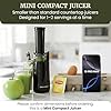 Storioza Slow Masticating Juicer Machine - Cold Press Juicer Extractor with Quiet Motor & Reverse Function for Fruits and Vegetables - Easy to Clean, Black - Image 2